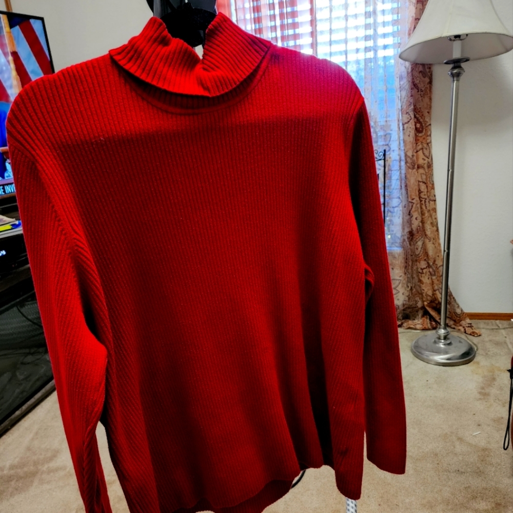 Turtle  neck sweater